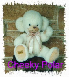 cheeky polar